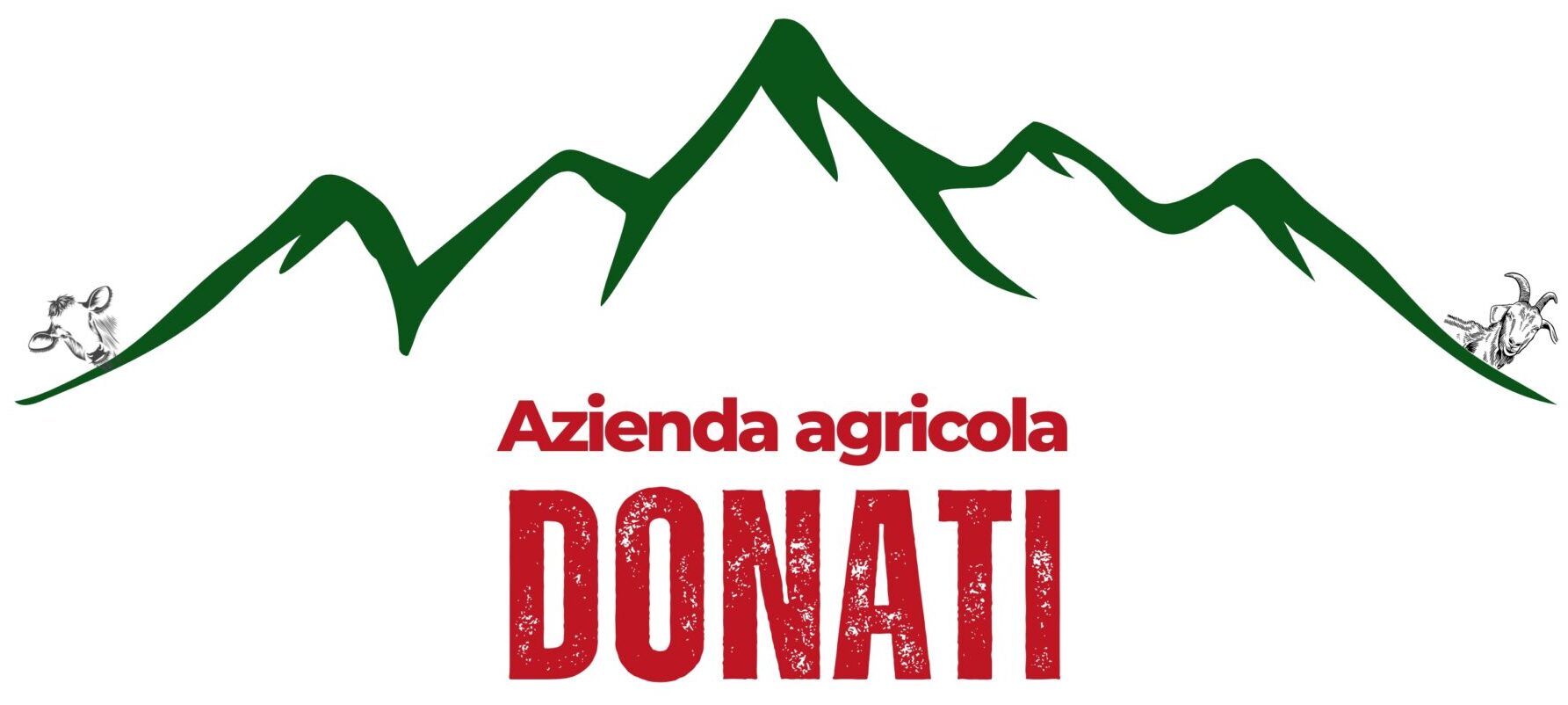 DONATI LOGO OK